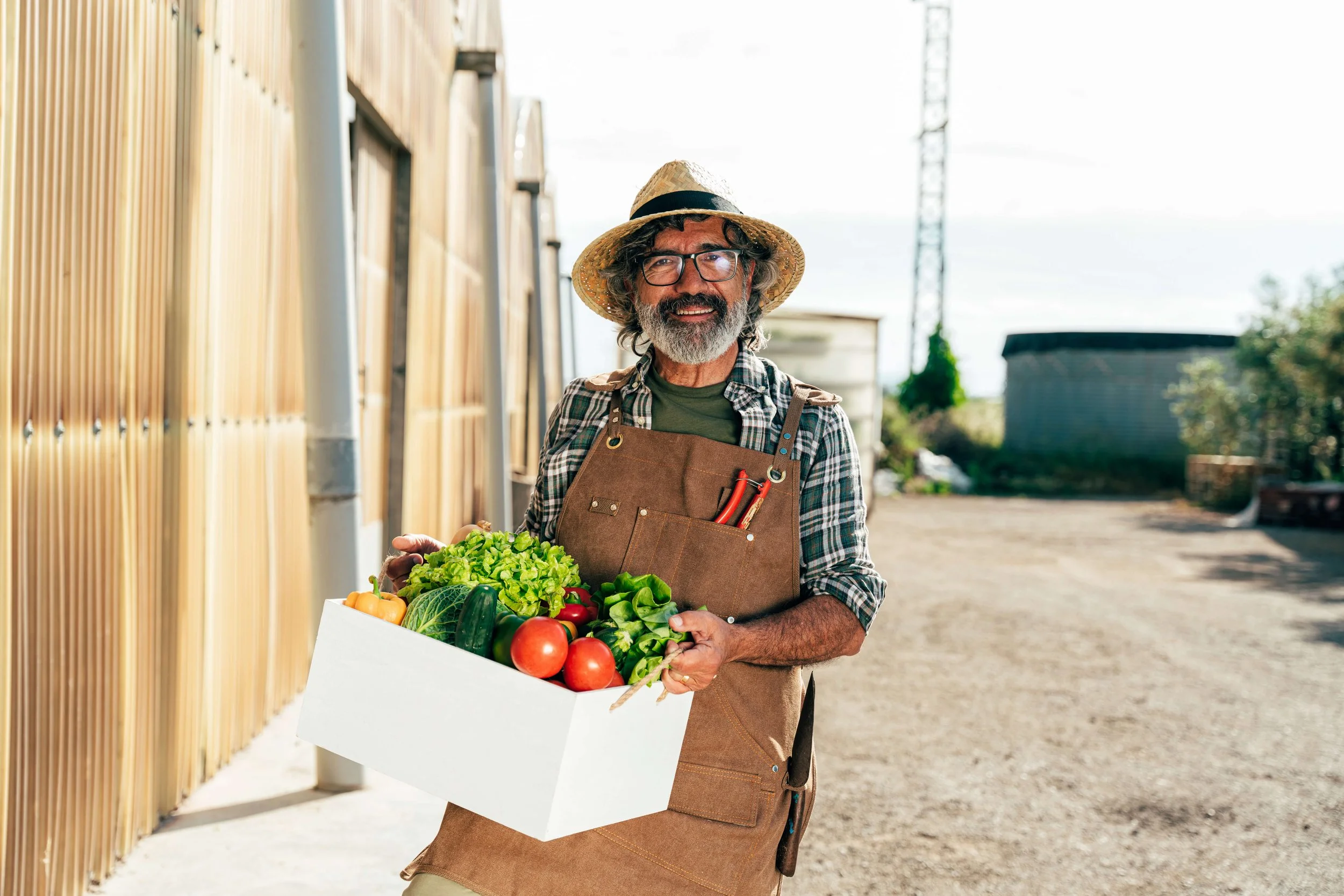 Local farmer holding a CSA delivery box of fresh organic vegetables