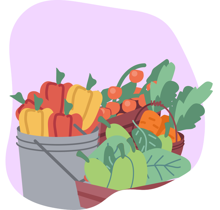 A variety of fresh vegetables displayed in boxes and baskets