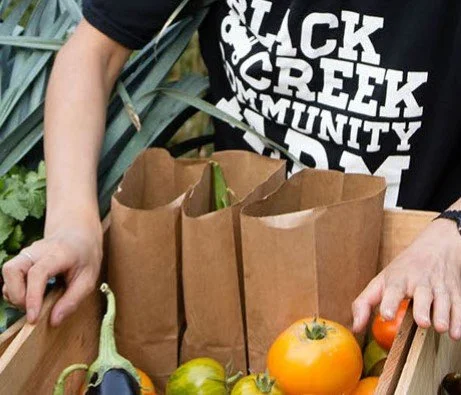 Person in Black Creek Community T-Shirt placing vegetables into paper bags at a market stand.