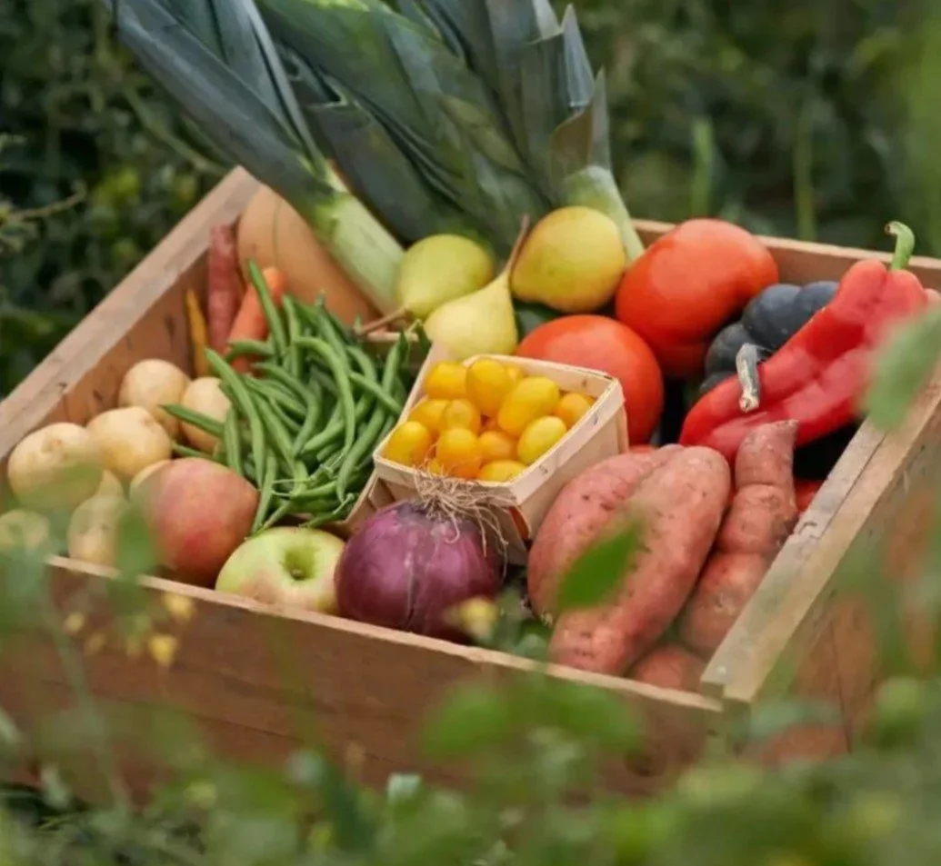 A wooden crate filled with fresh vegetables and fruits, including green beans, apples, tomatoes, sweet peppers, onions, and sweet potatoes.