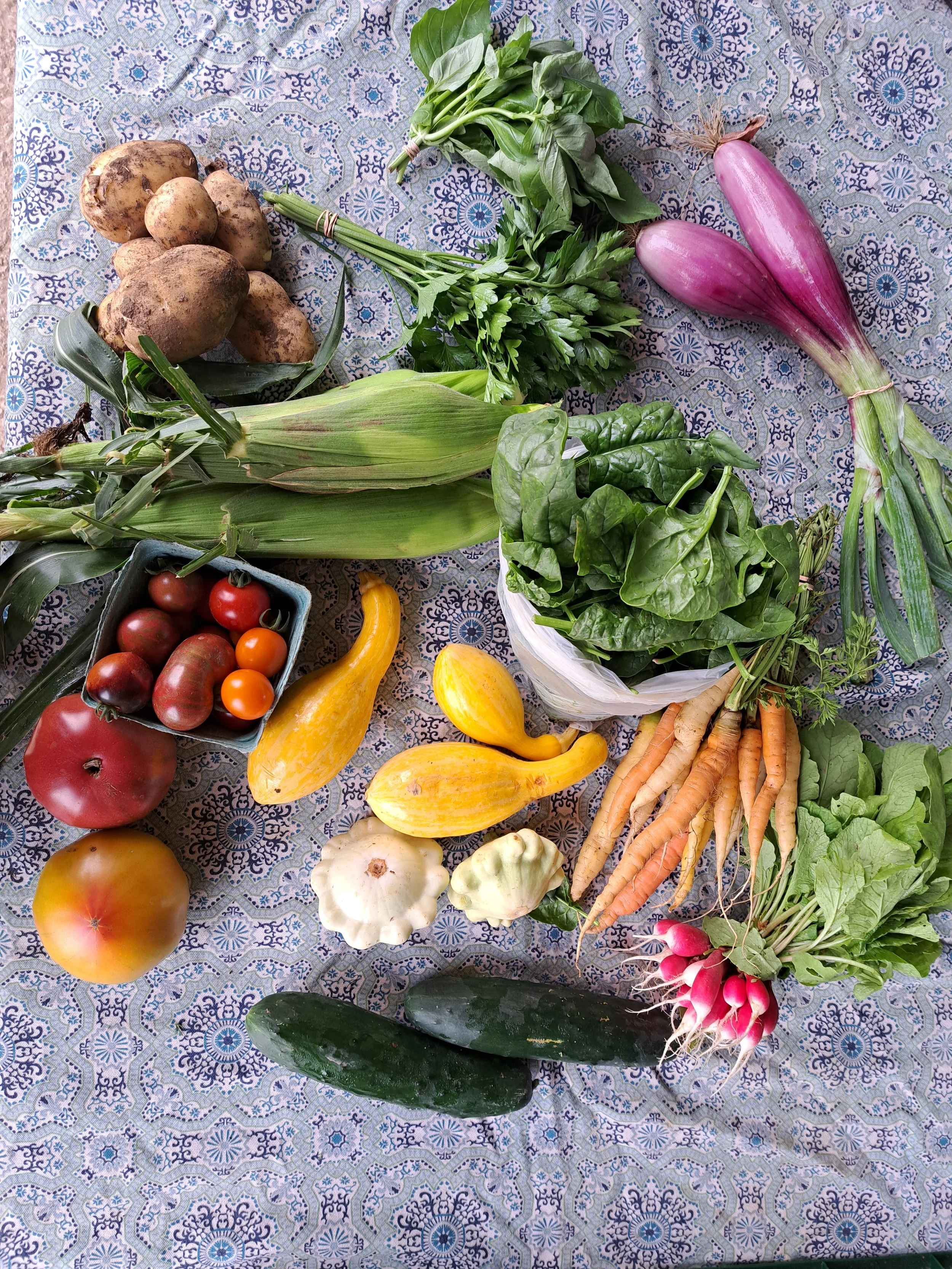 A variety of fresh vegetables including potatoes, leafy greens, radishes, carrots, zucchini, tomatoes, eggplants, corn, and squash displayed on a patterned cloth.