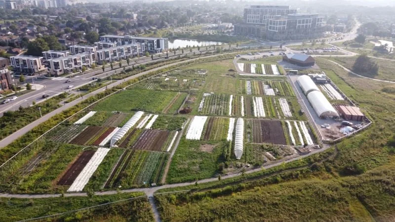Aerial view of a community garden with multiple plots, greenhouses, and surrounding pathways, located near residential buildings and a lake.