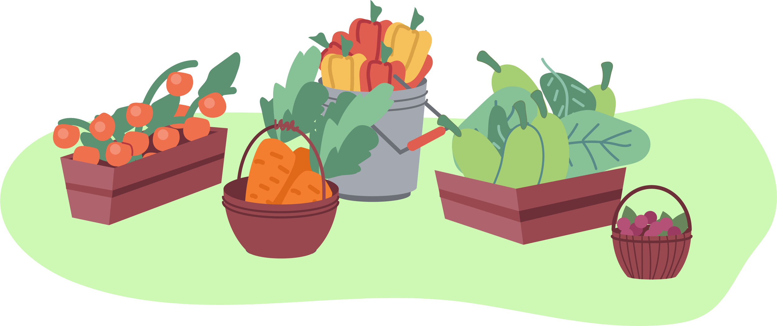 Baskets and boxes of freshly harvested organic vegetables and fruit